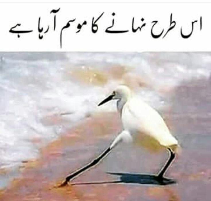 Coming soon 🤣🤣