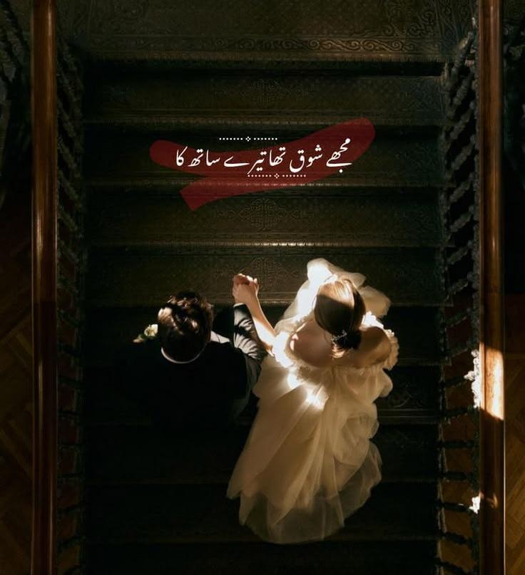 `پروین شاکر`

*‏تیرے  سوا  بھی  کئی رنگ خوش نظر تھے*
*جو تجھ کو دیکھ چکا ہو وہ اور کیا دیکھے*
✨🌻