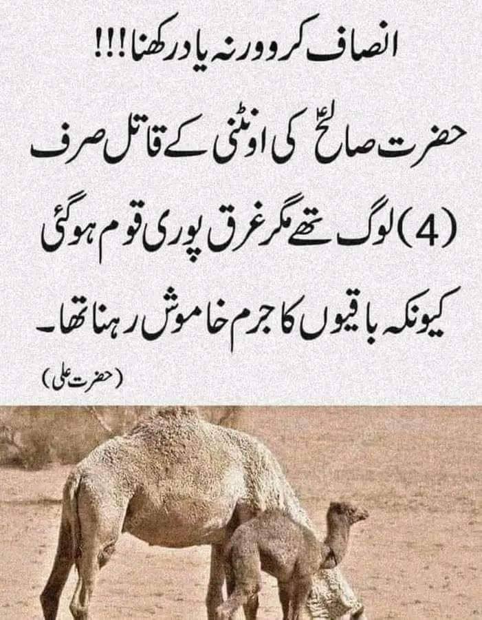 Deep Lines post on Dostana
