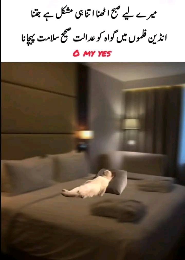 😒😒😒