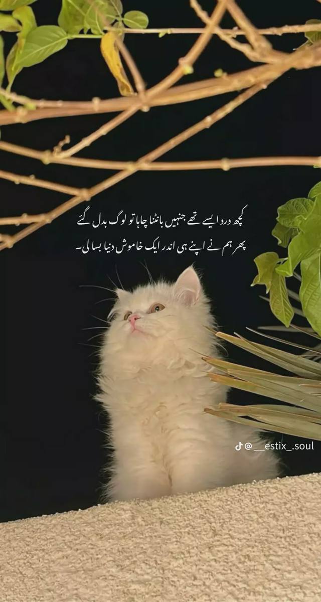 Sad Poetry post on Dostana