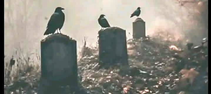کچھ رشتوں میں محبت کم اور نشستے زیادہ اہمیت کی حامل ہوتی ہیں،کون کس کہ قریب بیٹھا ہے اسی سے وفاداری ناپی جاتی ہے۔!!!🩶